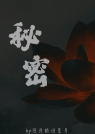 《秘密》 小说